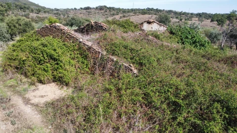 Quinta T0 para Venda em Castelo Branco