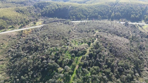 Quinta T0 para Venda em Castelo Branco