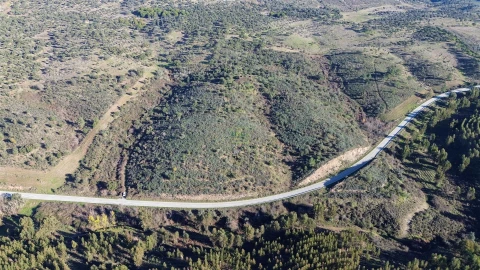 Quinta T0 para Venda em Castelo Branco
