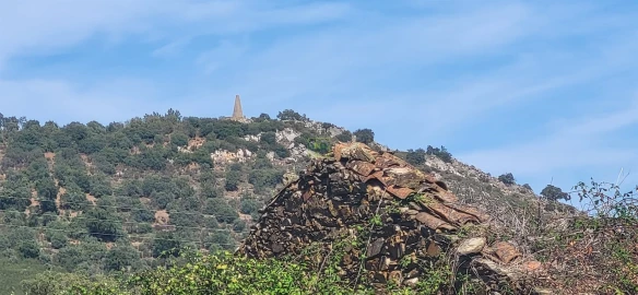 Quinta T0 para Venda em Castelo Branco