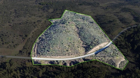 Quinta T0 para Venda em Castelo Branco