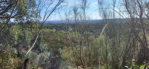 Quinta T0 para Venda em Castelo Branco