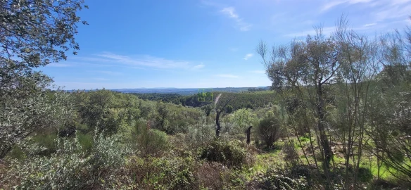 Quinta T0 para Venda em Castelo Branco