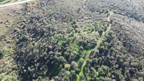 Quinta T0 para Venda em Castelo Branco