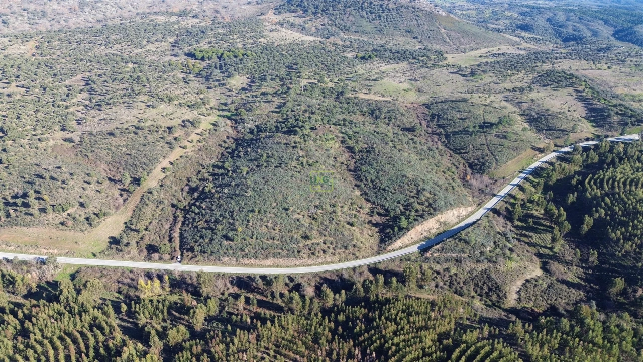 Quinta T0 para Venda em Castelo Branco Foto 27