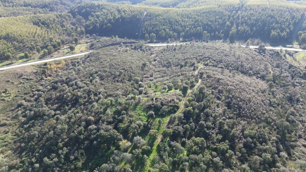 Quinta T0 para Venda em Castelo Branco Foto 21