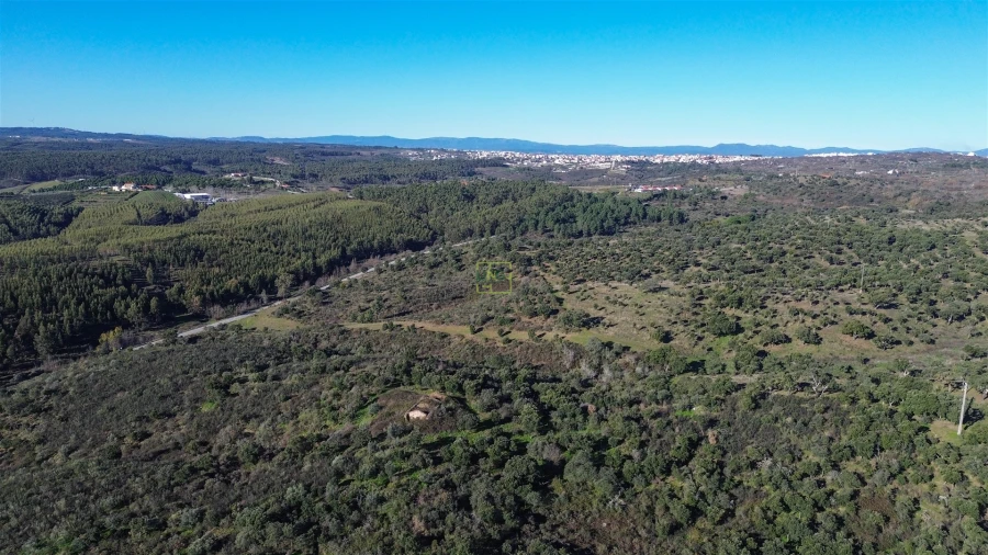 Quinta T0 para Venda em Castelo Branco Foto 32