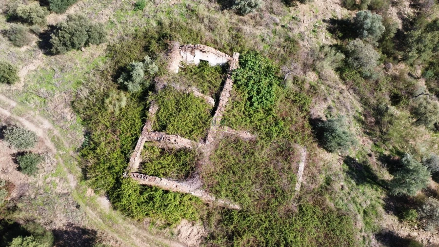 Quinta T0 para Venda em Castelo Branco Foto 16