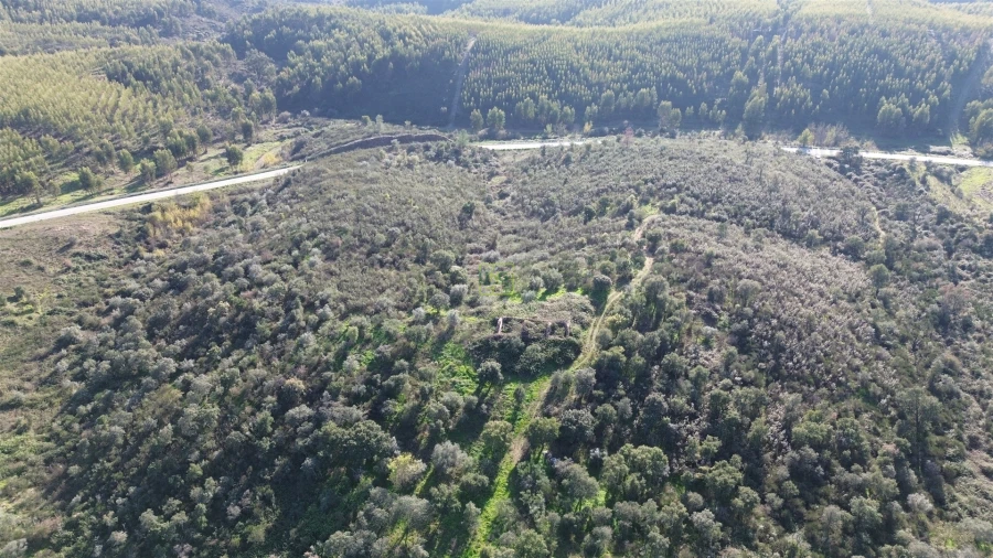 Quinta T0 para Venda em Castelo Branco Foto 21