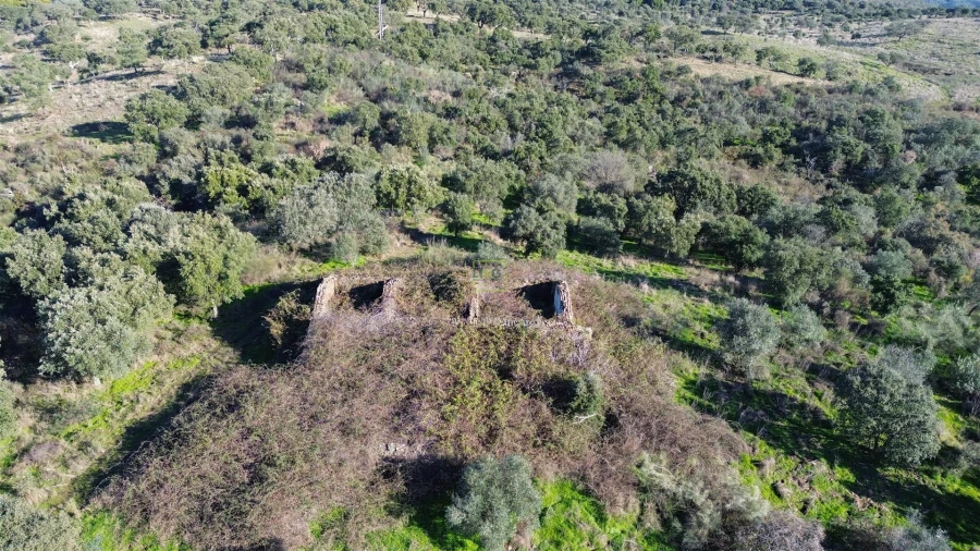 Quinta T0 para Venda em Castelo Branco Foto 28