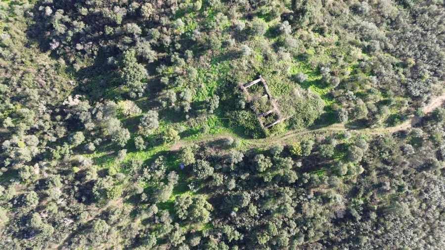 Quinta T0 para Venda em Castelo Branco Foto 23