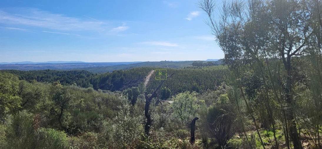 Quinta T0 para Venda em Castelo Branco Foto 6