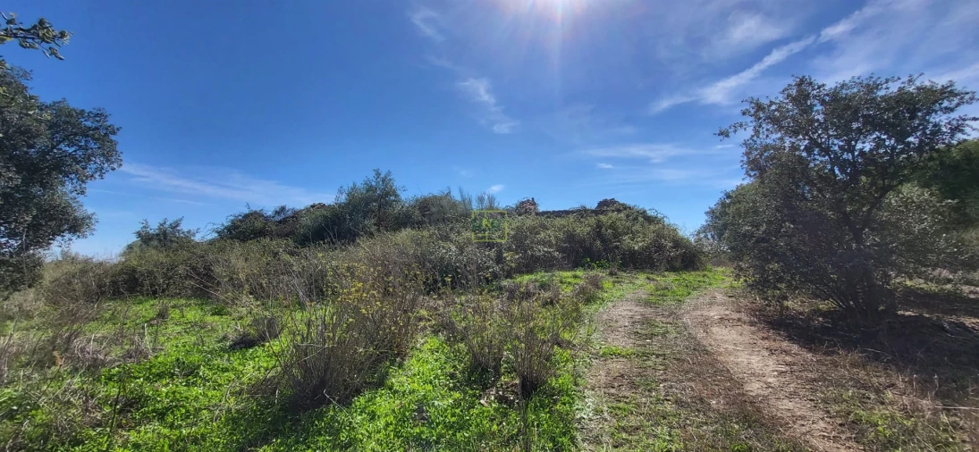 Quinta T0 para Venda em Castelo Branco Foto 2