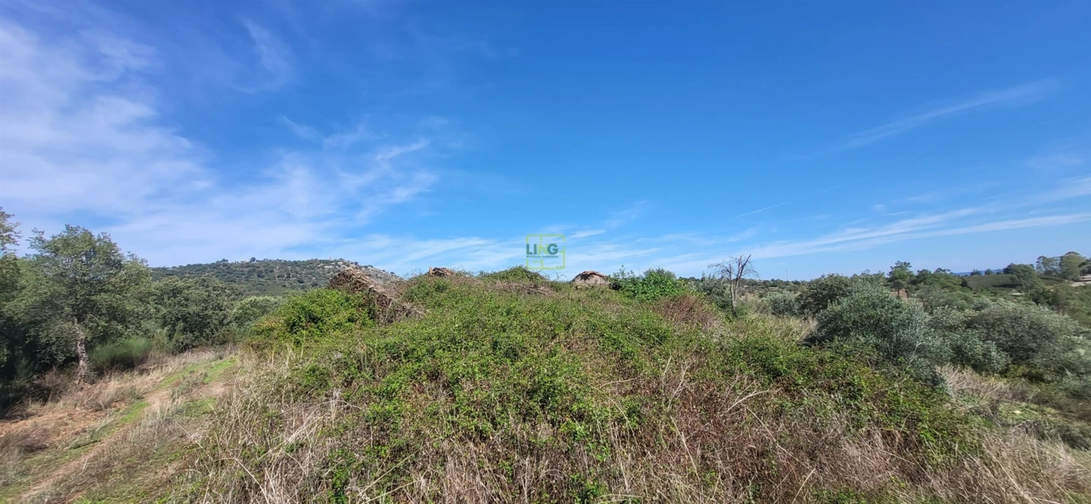 Quinta T0 para Venda em Castelo Branco Foto 5
