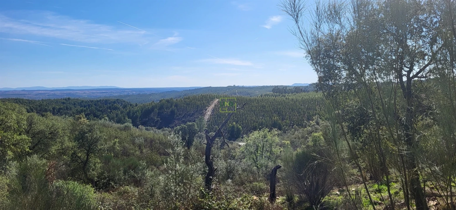 Quinta T0 para Venda em Castelo Branco Foto 6