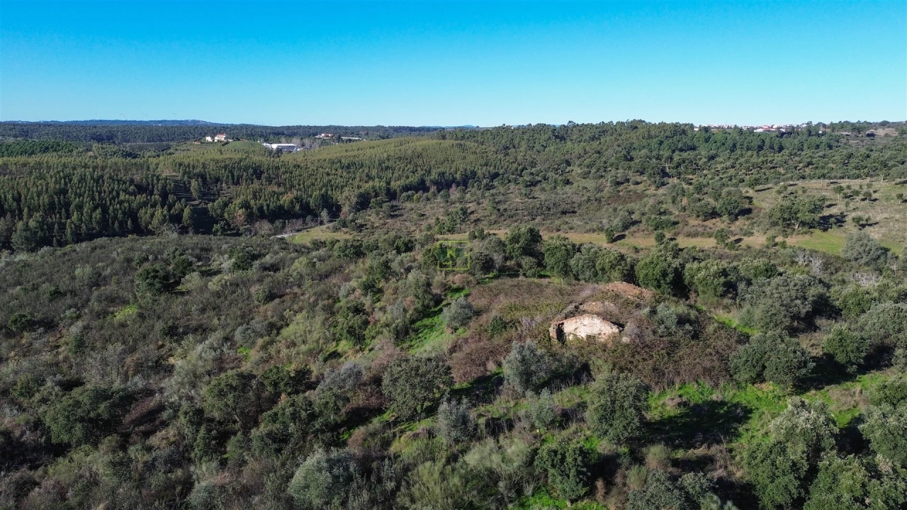 Quinta T0 para Venda em Castelo Branco Foto 29