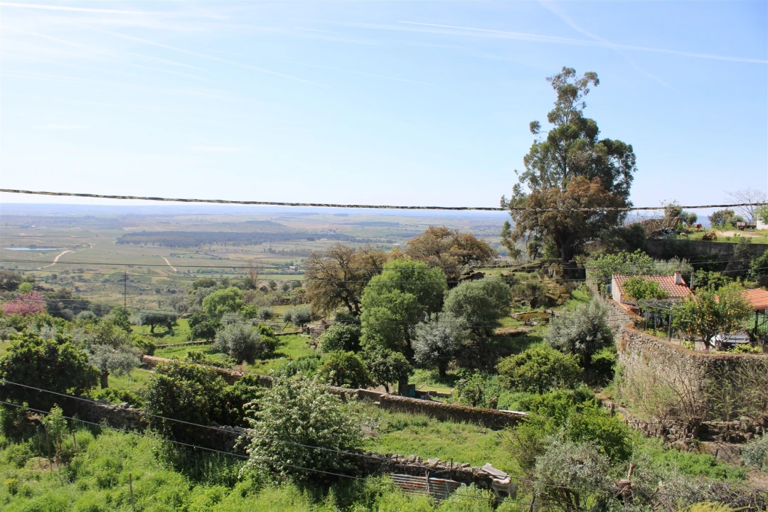 Moradia T3 para Venda em Idanha-A-Nova e Alcafozes Foto 18