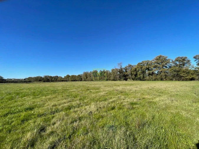 Quinta T0 para Venda em Póvoa de Atalaia e Atalaia do Campo Foto 29
