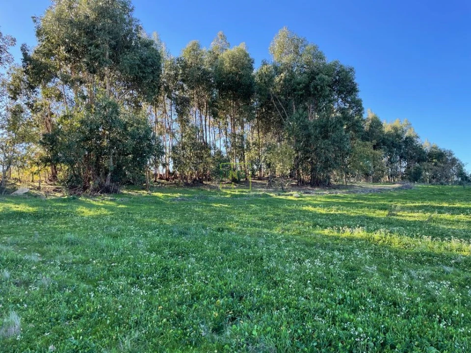 Quinta T0 para Venda em Póvoa de Atalaia e Atalaia do Campo Foto 28