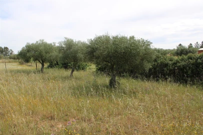Terreno para Venda em Malpica do Tejo