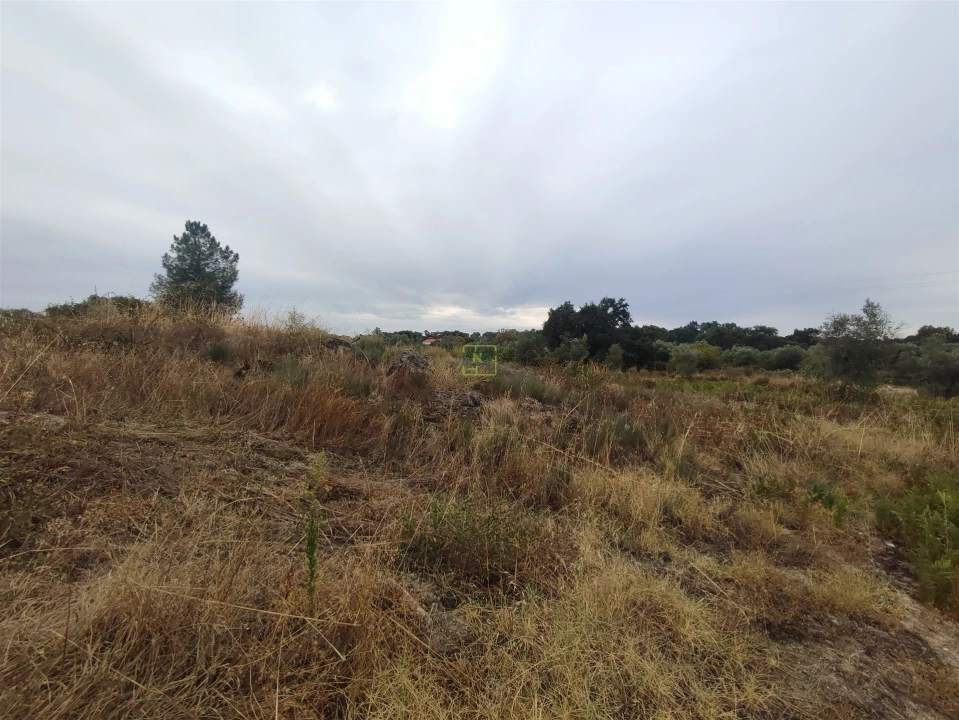 Quinta T2 para Venda em Penamacor Foto 26