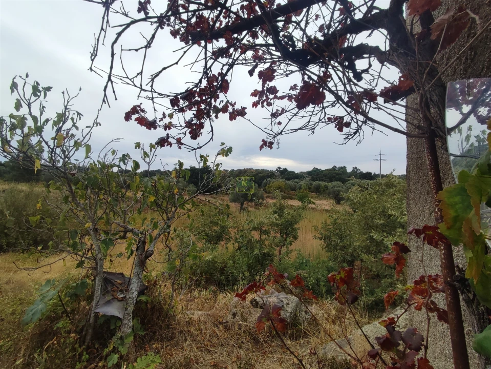Quinta T2 para Venda em Penamacor Foto 15