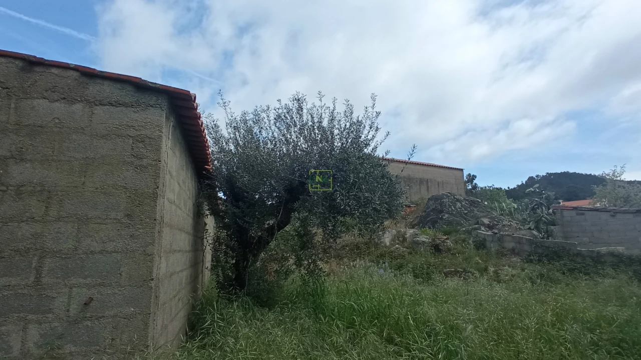 Quinta T2 para Venda em Penamacor Foto 5