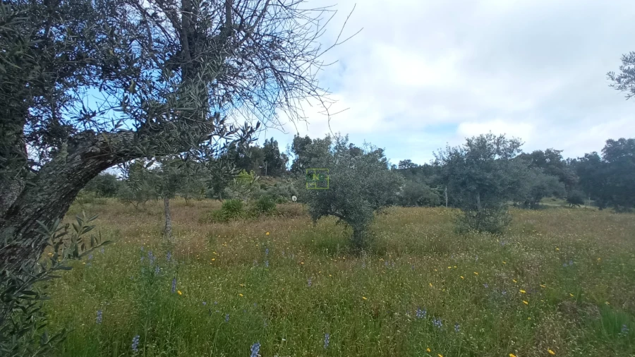 Quinta T2 para Venda em Penamacor Foto 12