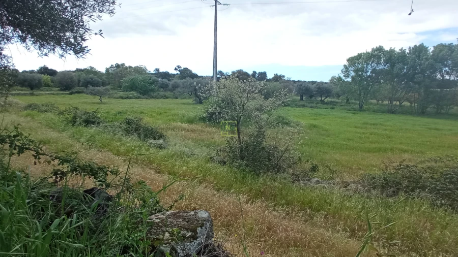 Quinta T2 para Venda em Penamacor Foto 10