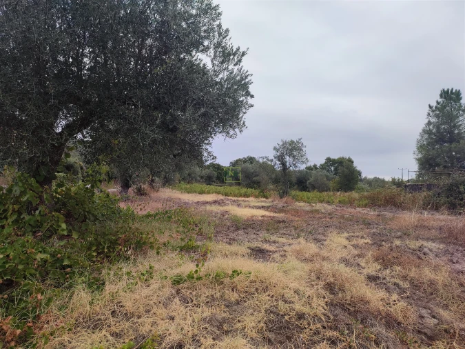 Quinta T2 para Venda em Penamacor Foto 27