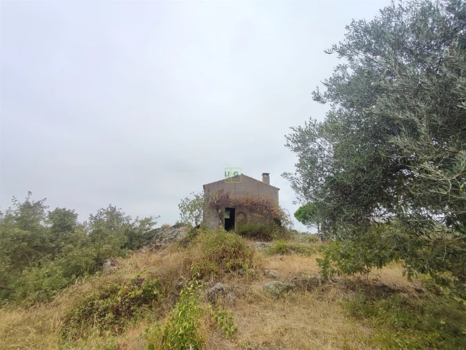 Quinta T2 para Venda em Penamacor Foto 3