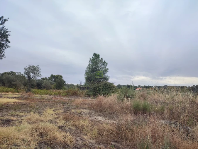 Quinta T2 para Venda em Penamacor Foto 28