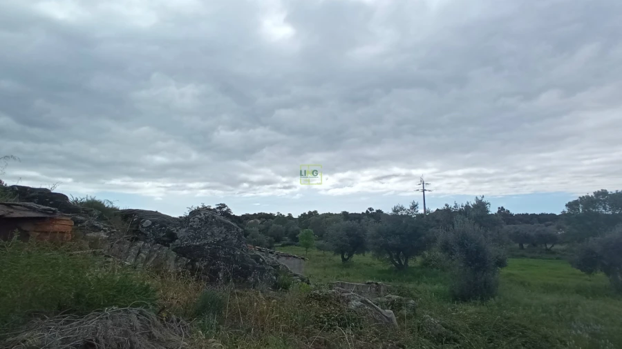 Quinta T2 para Venda em Penamacor Foto 18