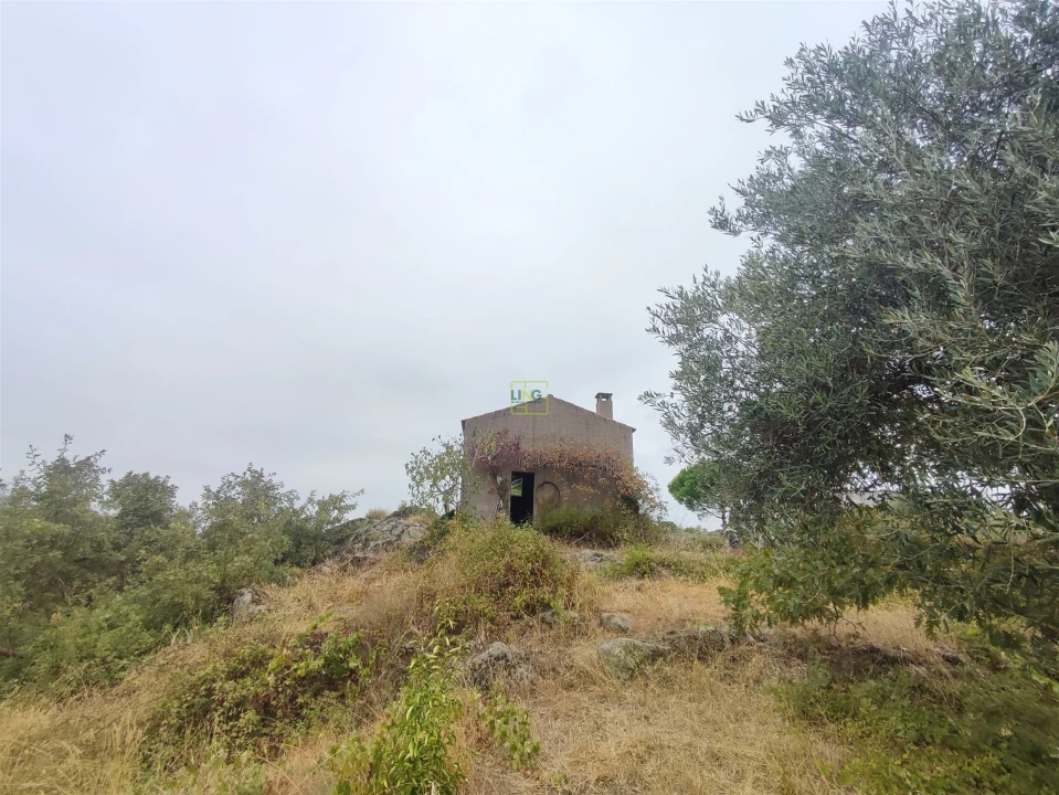 Quinta T2 para Venda em Penamacor Foto 3