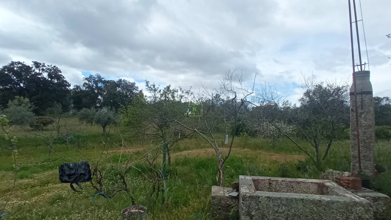 Quinta T2 para Venda em Penamacor Foto 9