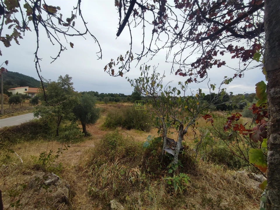 Quinta T2 para Venda em Penamacor Foto 2