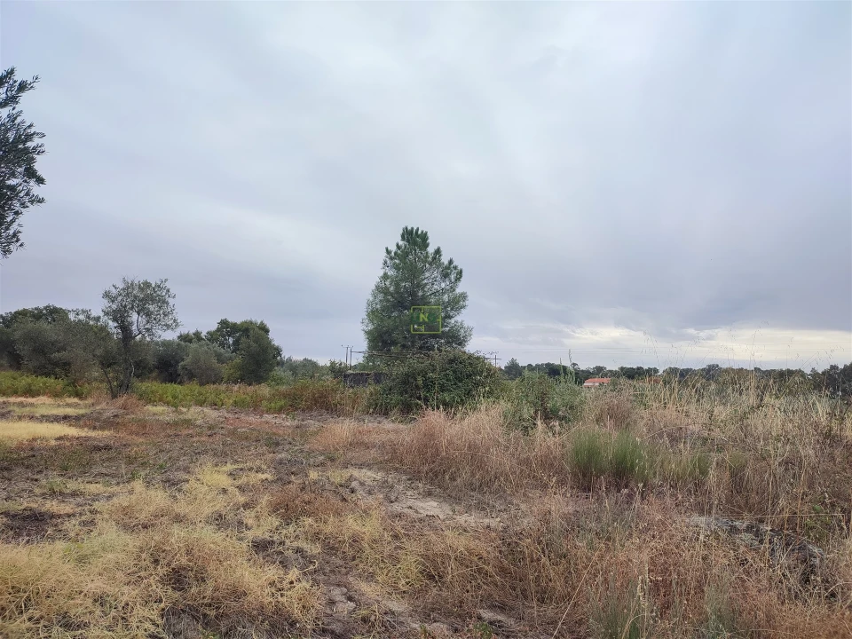 Quinta T2 para Venda em Penamacor Foto 28