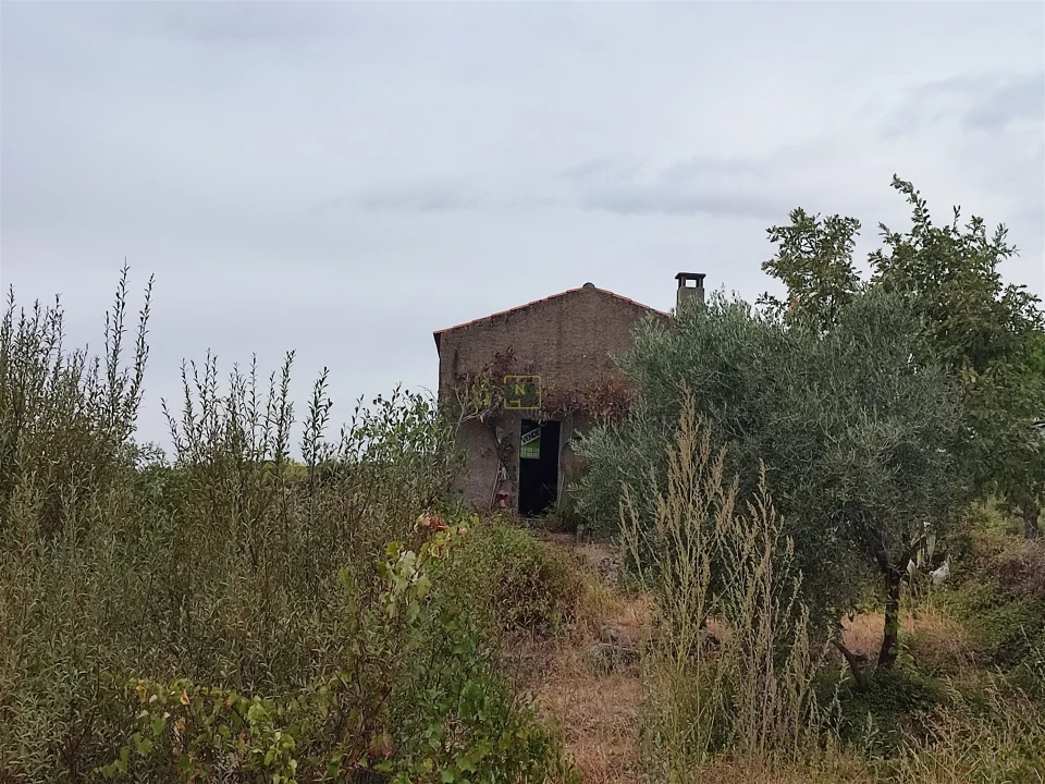 Quinta T2 para Venda em Penamacor Foto 1