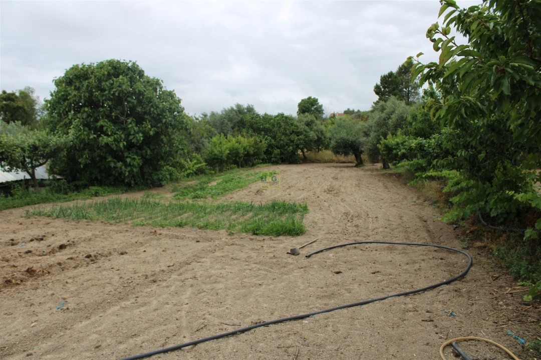 Quinta T0 para Venda em Vale de Prazeres e Mata da Rainha Foto 22
