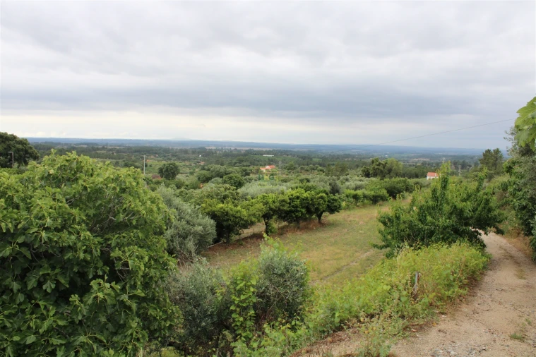 Quinta T0 para Venda em Vale de Prazeres e Mata da Rainha Foto 7