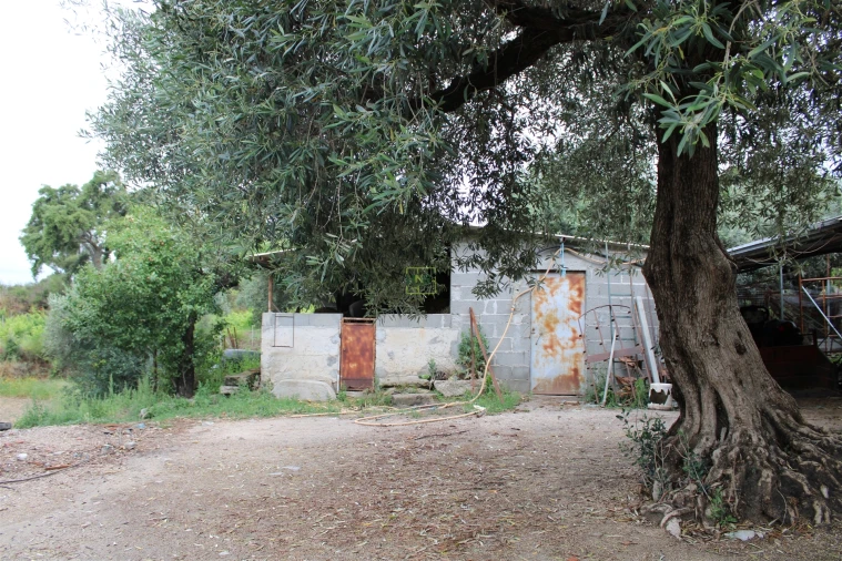 Quinta T0 para Venda em Vale de Prazeres e Mata da Rainha Foto 1