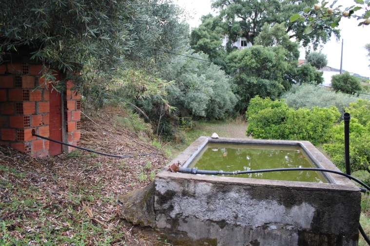 Quinta T0 para Venda em Vale de Prazeres e Mata da Rainha Foto 5