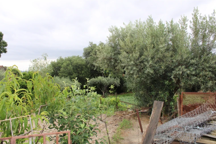 Quinta T0 para Venda em Vale de Prazeres e Mata da Rainha Foto 25