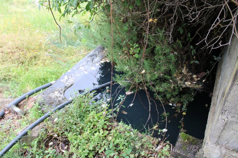 Quinta T0 para Venda em Vale de Prazeres e Mata da Rainha Foto 9