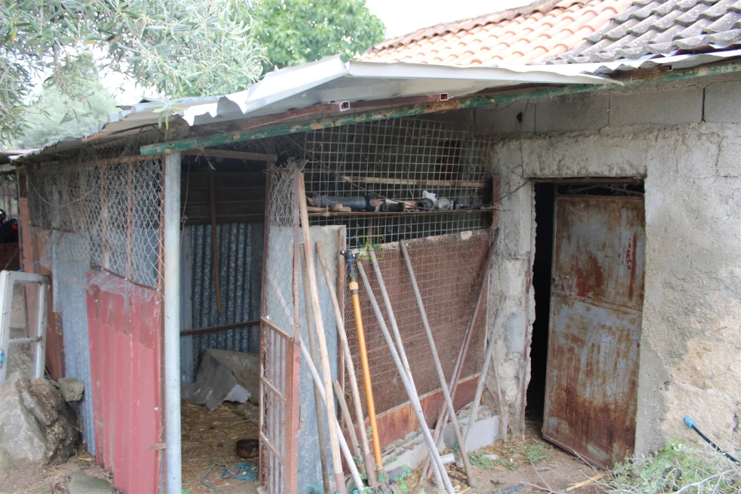 Quinta T0 para Venda em Vale de Prazeres e Mata da Rainha Foto 24