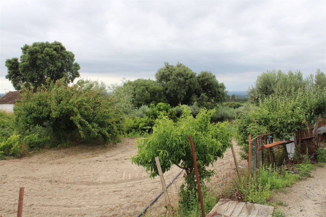 Quinta T0 para Venda em Vale de Prazeres e Mata da Rainha Foto 23