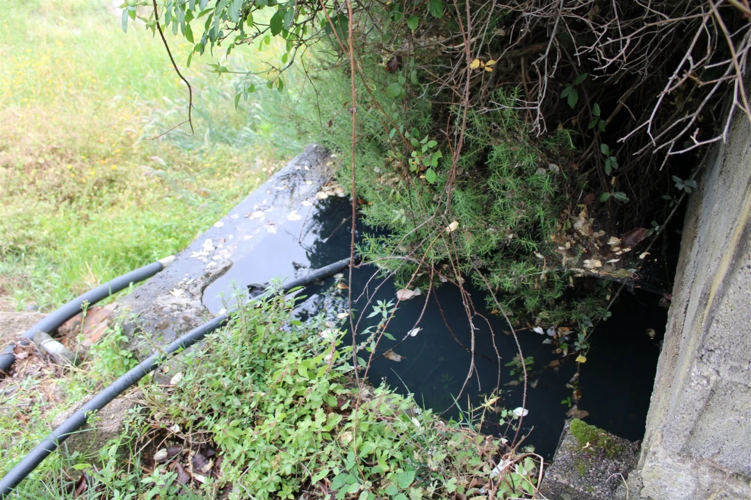 Quinta T0 para Venda em Vale de Prazeres e Mata da Rainha Foto 9