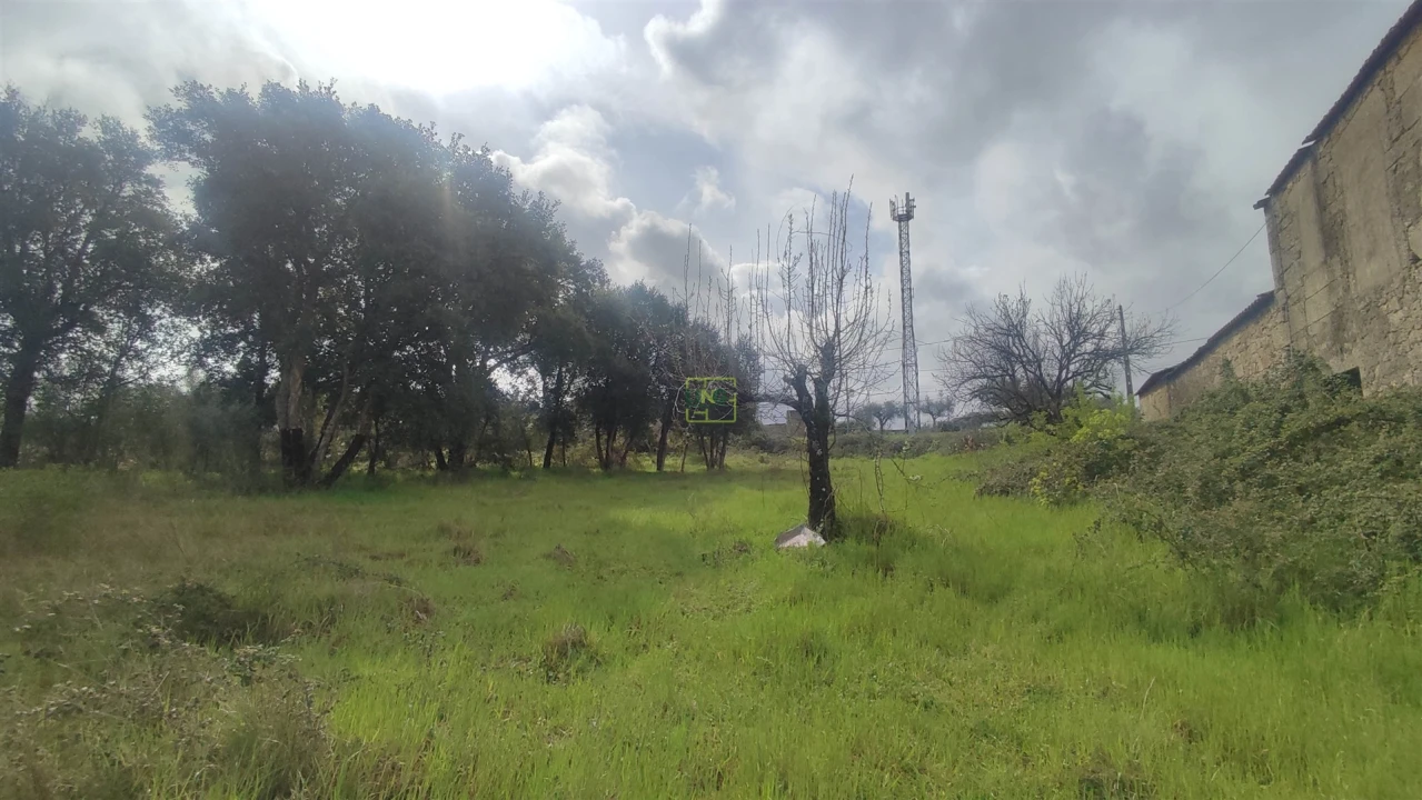 Terreno Agricola ou Rústico para Venda em Aldeia do Bispo, Águas e Aldeia de João Pires Foto 17