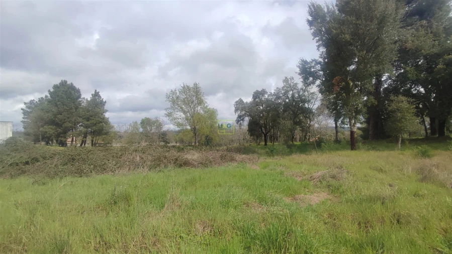Terreno Agricola ou Rústico para Venda em Aldeia do Bispo, Águas e Aldeia de João Pires Foto 16