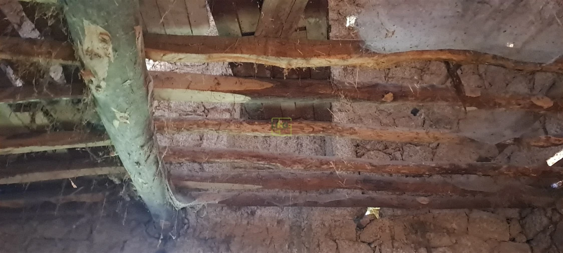 Terreno Agricola ou Rústico para Venda em Aldeia do Bispo, Águas e Aldeia de João Pires Foto 11